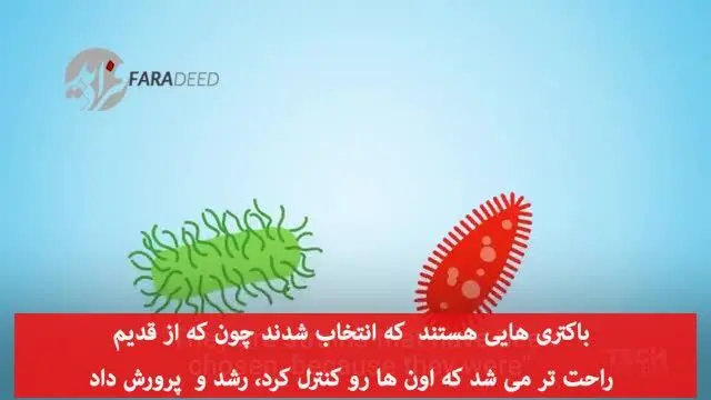 (ویدیو) ماست از آنچه فکر می‌کنید مضرتر است!
