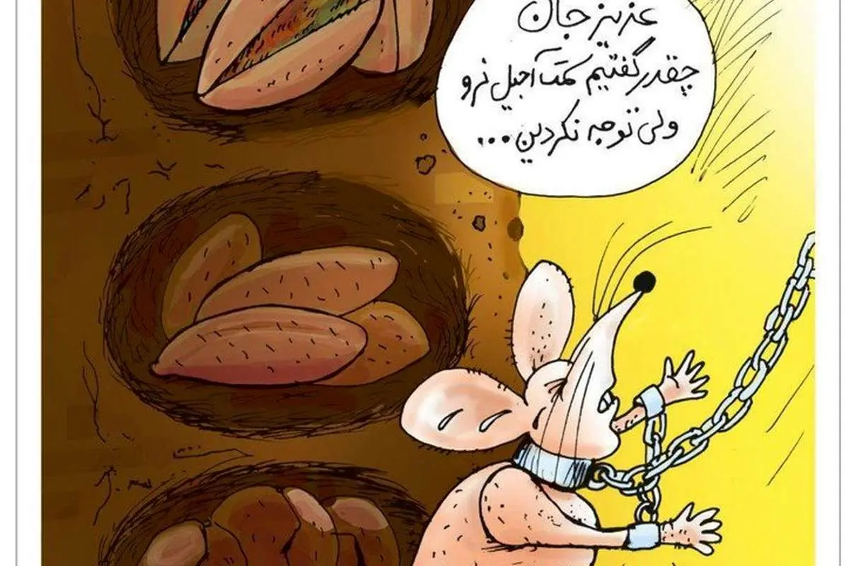 گرانفروشان آجیل شب یلدا منتظر باشند!