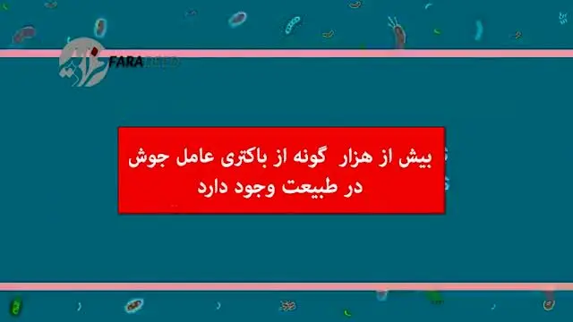 (ویدیو) صورت‌تان جوش می‌زند؟ این ویدیو را حتما ببنید!