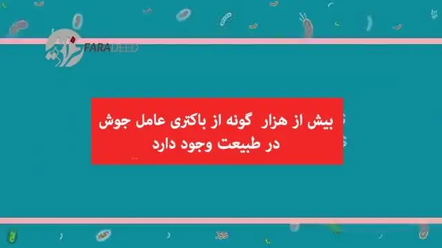 (ویدیو) صورت‌تان جوش می‌زند؟ این ویدیو را حتما ببنید!