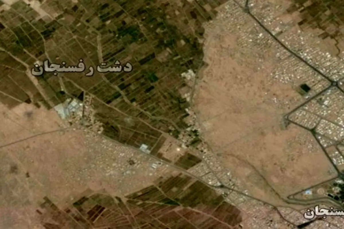 در دشت رفسنجان چه خبر است؟