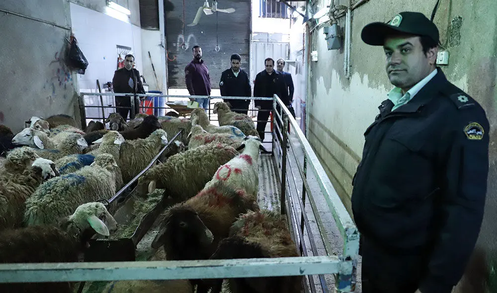 (تصاویر) پلمب کشتارگاه‌های خانگی تهران