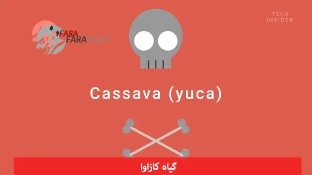 (ویدیو) هفت غذای سمی که اصلا نباید خورد!