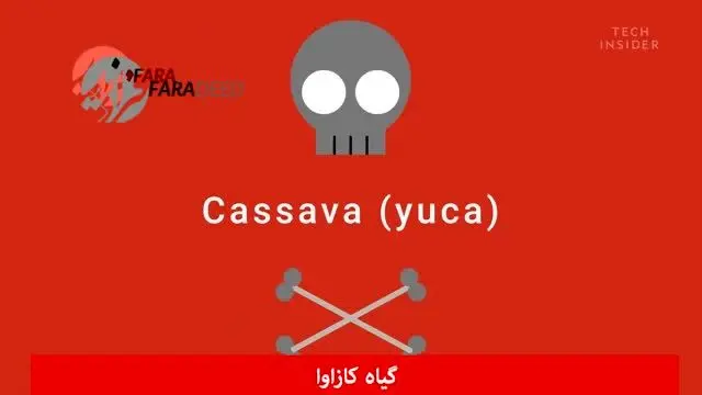 (ویدیو) هفت غذای سمی که اصلا نباید خورد!