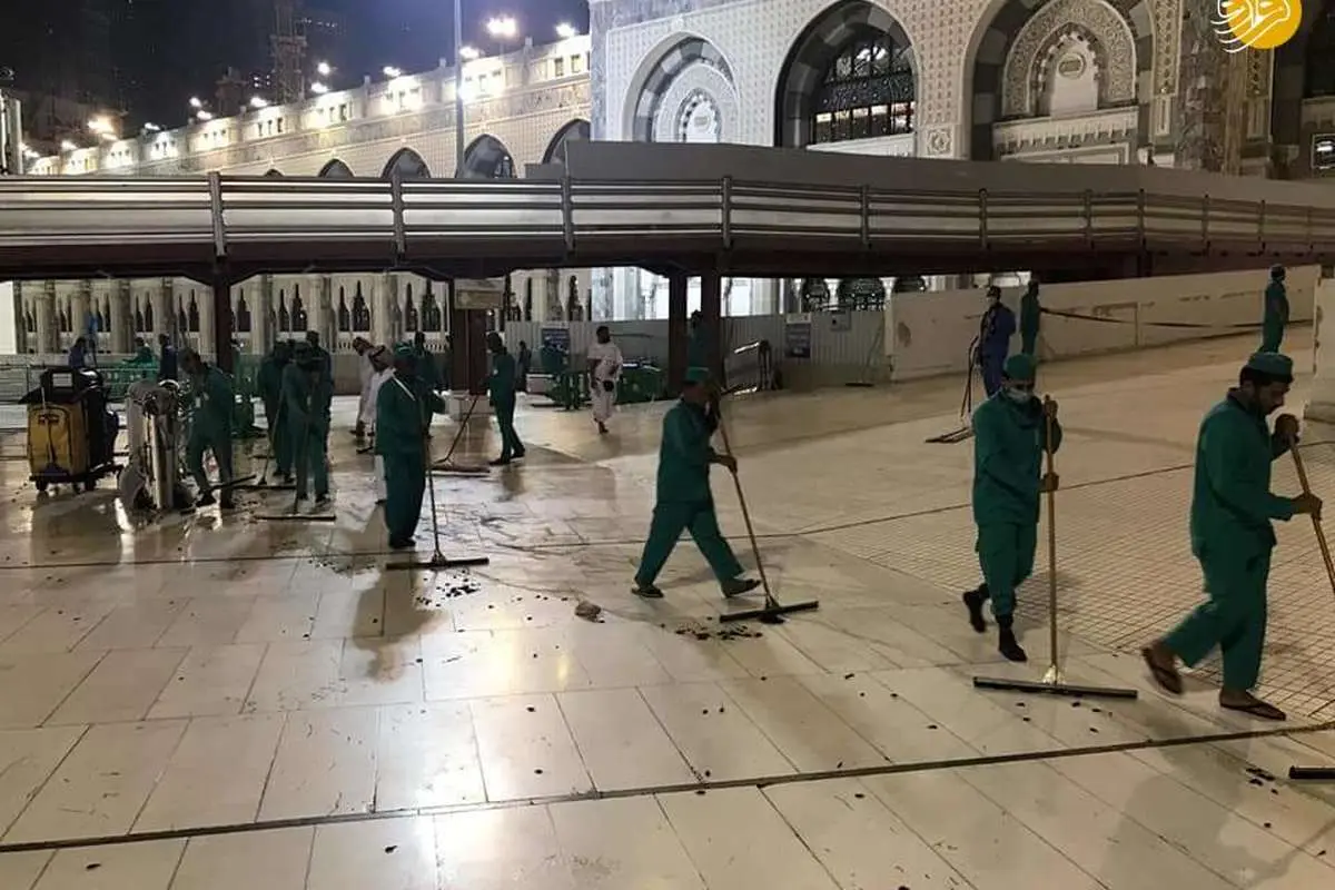 (تصاویر) هجوم جیرجیرک‌ها به مکه!