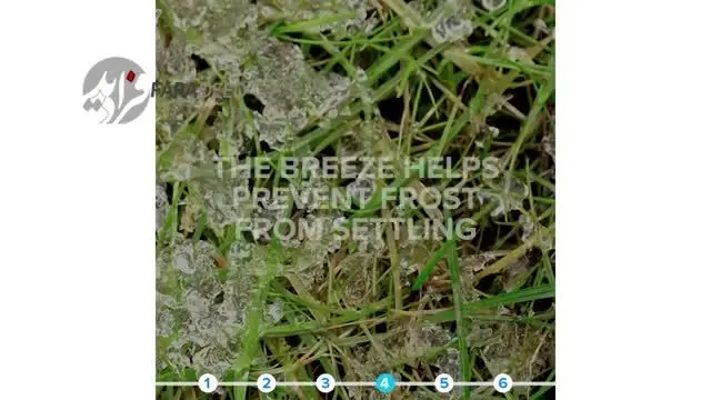 (ویدیو) نگران گیاهان‌ و درختان‌تان در زمستان نباشید!