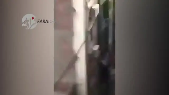 (ویدیو +16) خودکشی دردناک زنی که خود را از طبقه هفتم پرتاب کرد