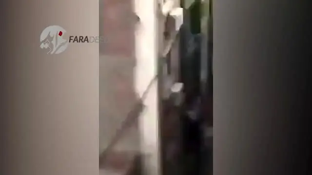 (ویدیو +16) خودکشی دردناک زنی که خود را از طبقه هفتم پرتاب کرد