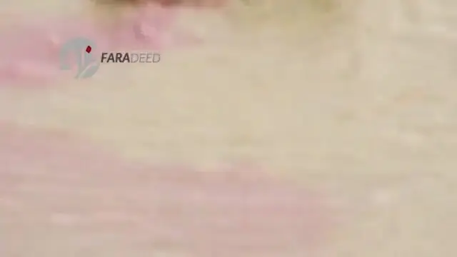 (ویدیو) آهوی نگون‌بخت زنده زنده خورده شد!