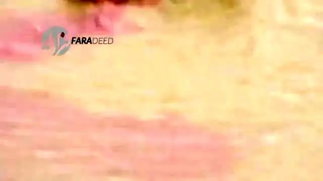 (ویدیو) آهوی نگون‌بخت زنده زنده خورده شد!