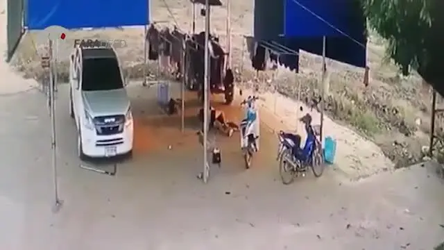 (ویدیو) قتل فجیع اعضای خانواده توسط پدر جانی!