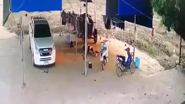 (ویدیو) قتل فجیع اعضای خانواده توسط پدر جانی!