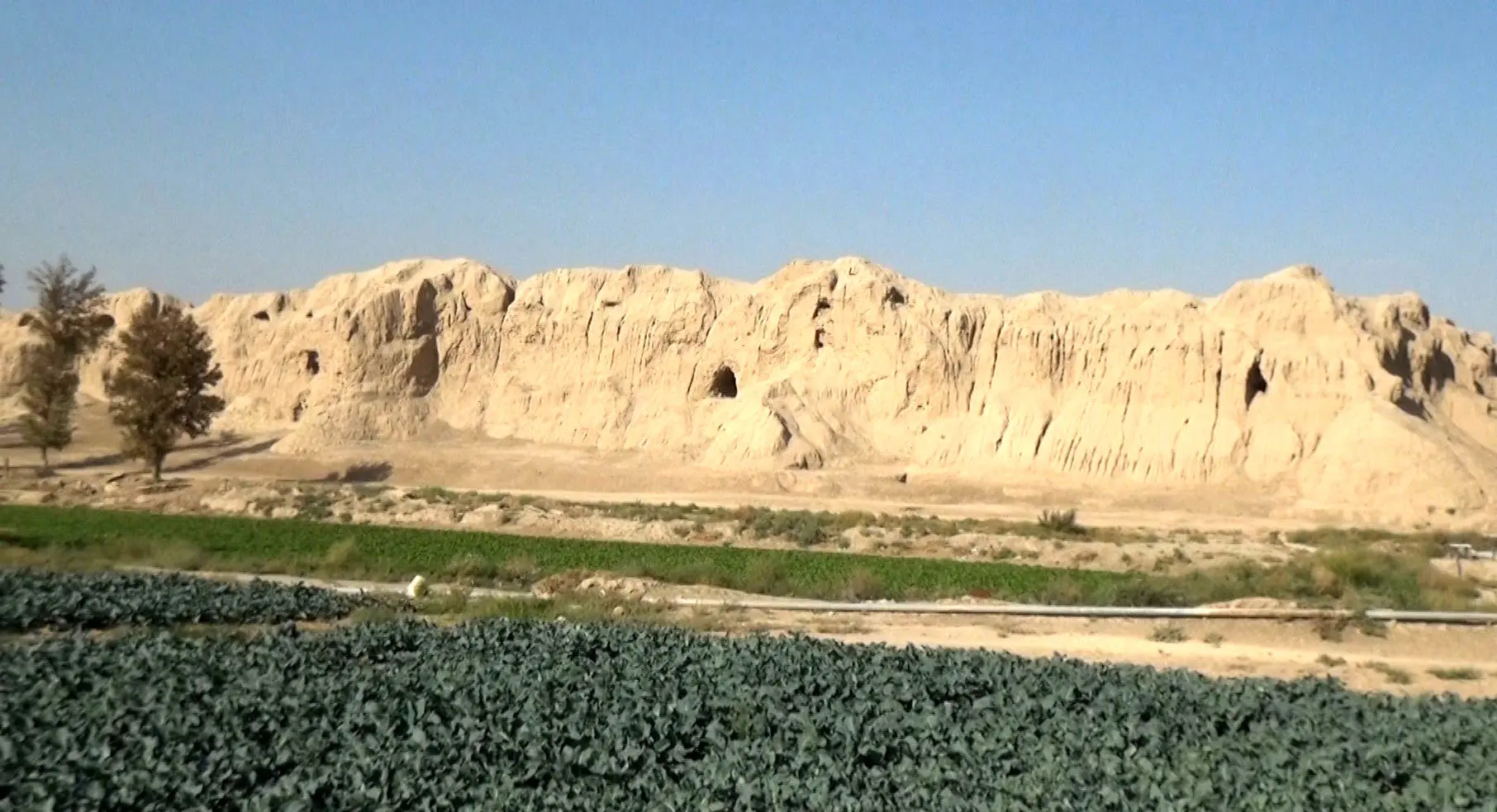 گوسفندان آخرین ساکنان قلعه ساسانی!