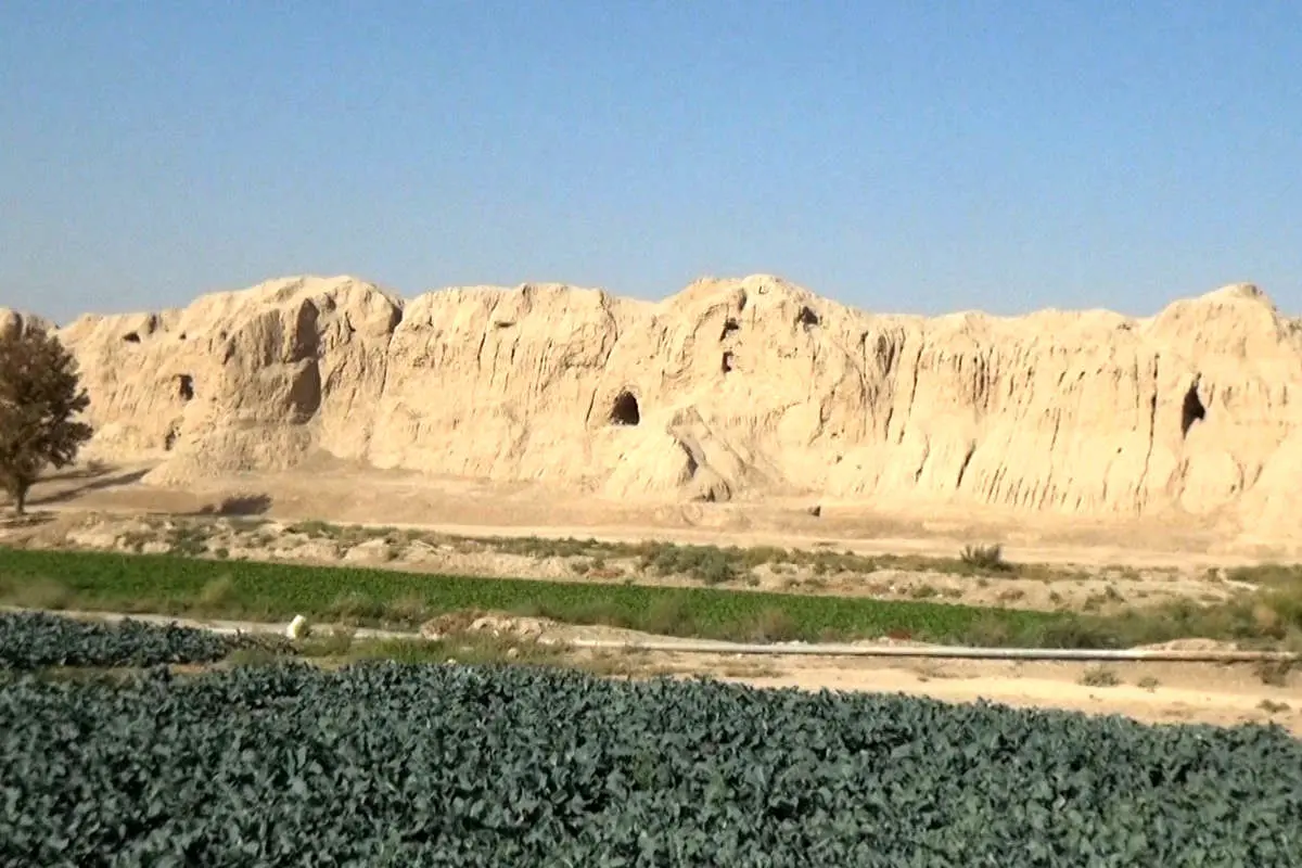 گوسفندان آخرین ساکنان قلعه ساسانی!