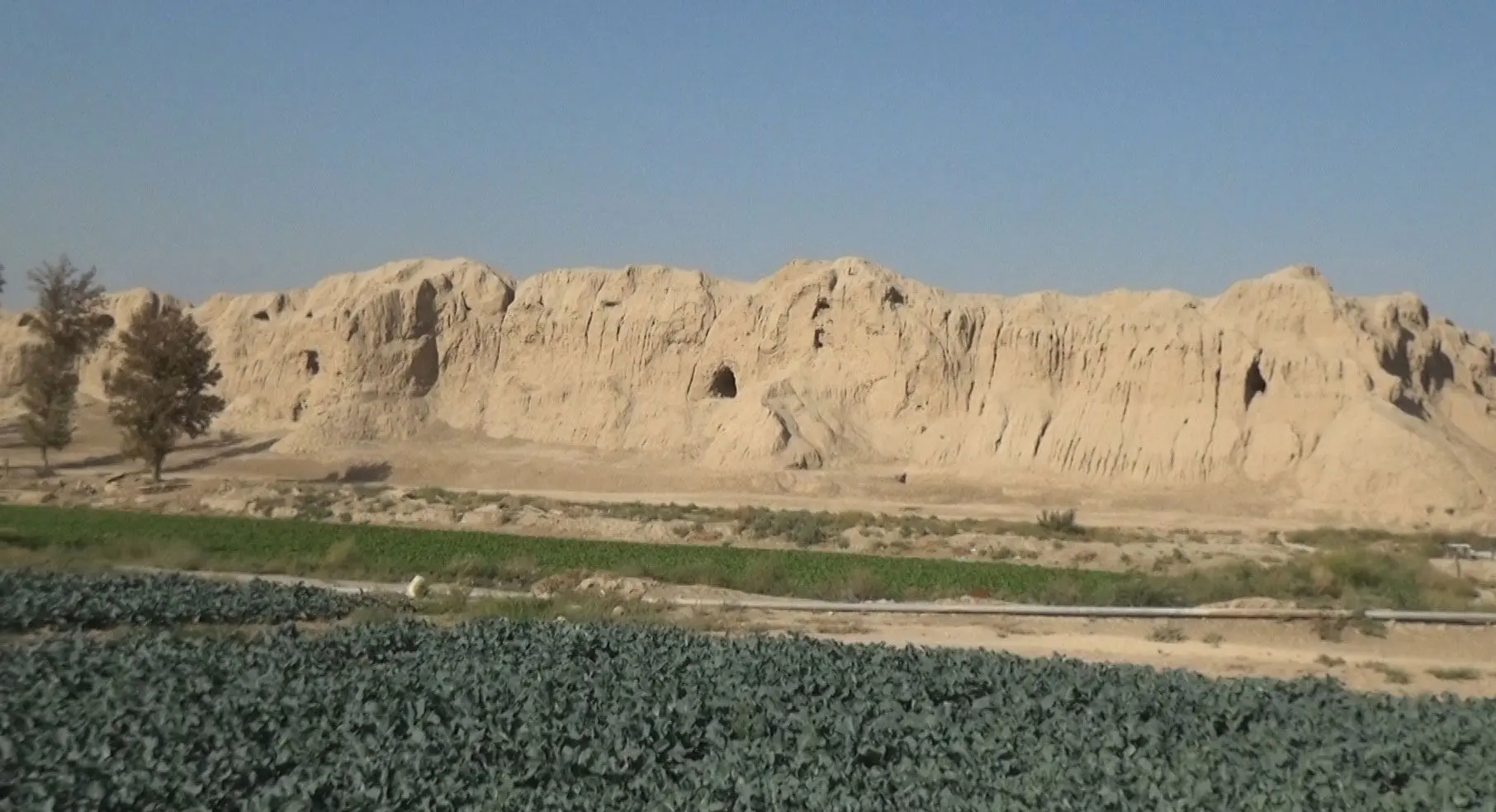 گوسفندان آخرین ساکنان قلعه ساسانی!