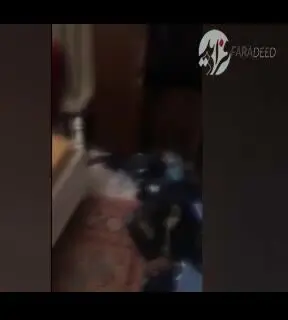 (ویدیو) فیلمی که بهاره رهنما از سرقت خانه‌اش منتشر کرد