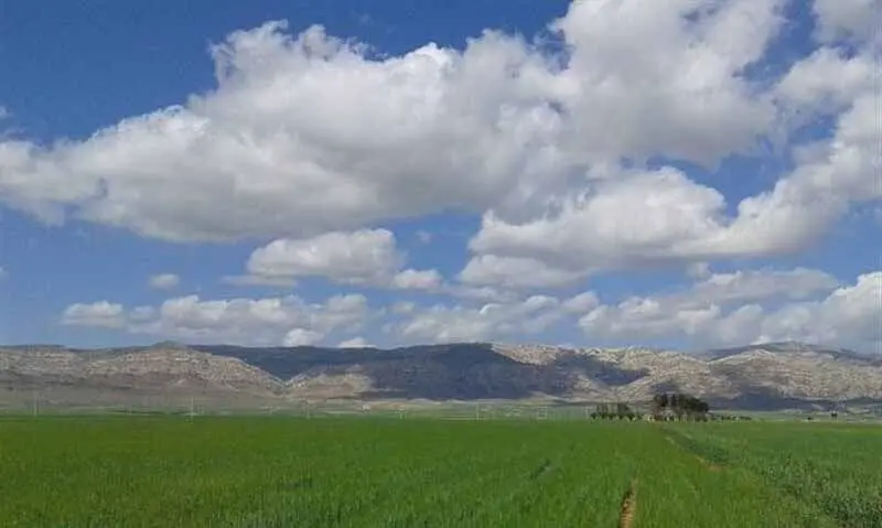 کشت فراسرزمینی ۴۲۸هزار هکتار زمین توسط ایران در ۹ کشور