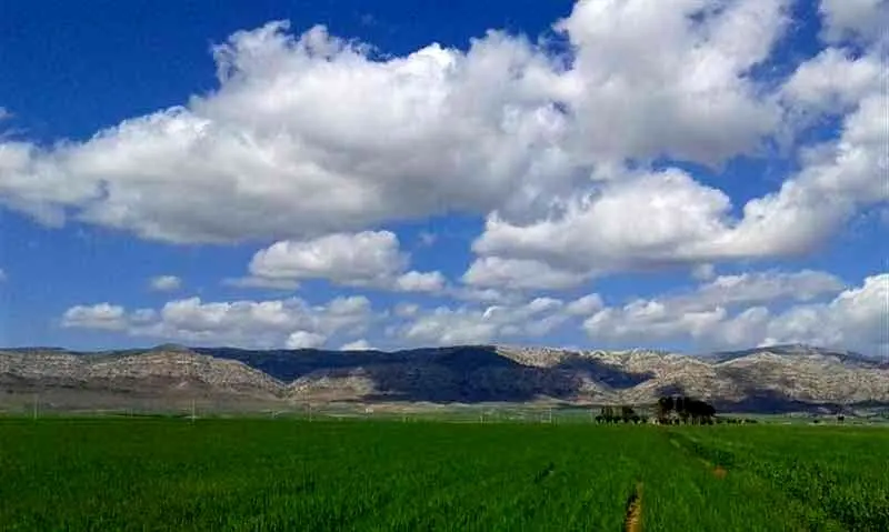 کشت فراسرزمینی ۴۲۸هزار هکتار زمین توسط ایران در ۹ کشور