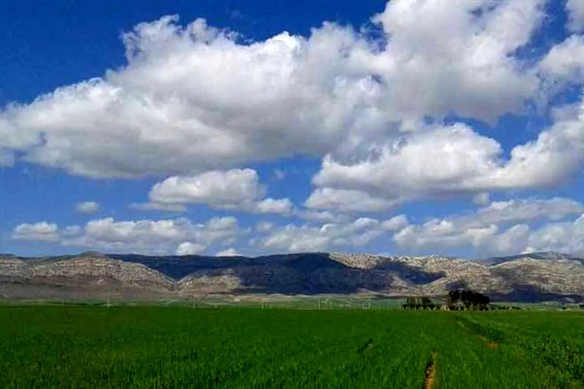 کشت فراسرزمینی ۴۲۸هزار هکتار زمین توسط ایران در ۹ کشور