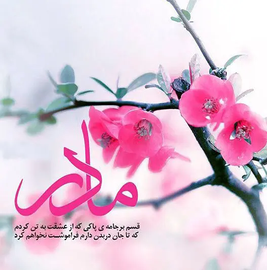 شعر کوتاه و پیام تبریک ویژه روز مادر