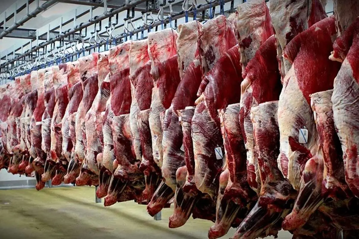 قیمت گوشت به ۱۱۰ هزار تومان رسید