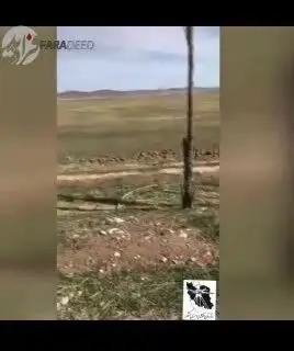 (ویدیو) پاسارگاد، ۵-۶ سانتی‌متر در سال نشست می‌کند