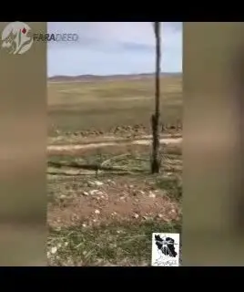 (ویدیو) پاسارگاد، ۵-۶ سانتی‌متر در سال نشست می‌کند