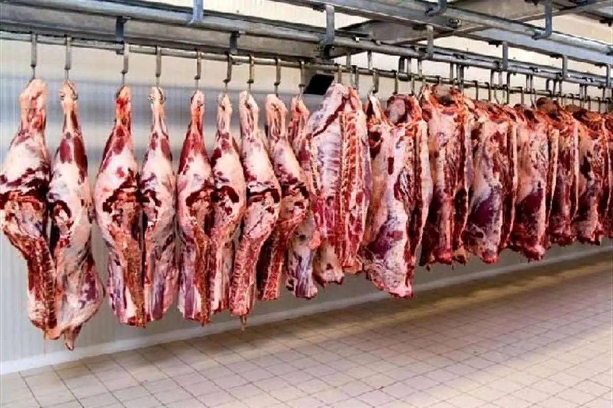 حقوق ورودی گوشت گوساله یکسوم شد