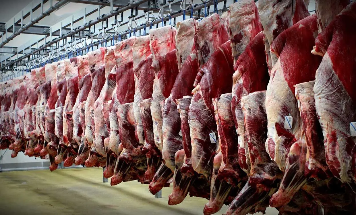 کشف ۲۰۰ تن گوشت احتکار شده در تهران