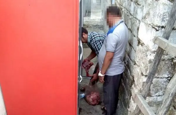 دستگیری عوامل فروش گوشت گوسفند مرده در شیراز