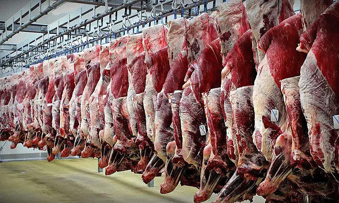 تاثیر جو روانی بر افزایش قیمت گوشت وارداتی