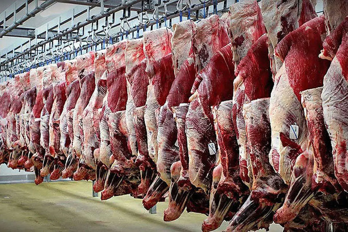 تاثیر جو روانی بر افزایش قیمت گوشت وارداتی