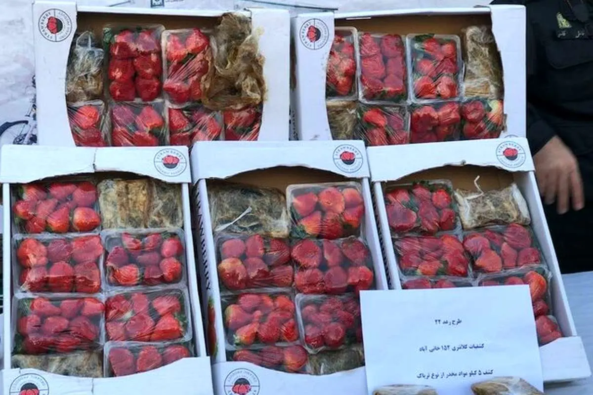 (تصاویر) کشف تریاکفرنگی در ترهبار