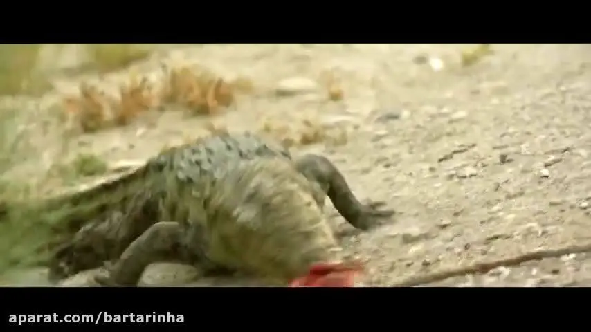 فیلم «شبی که ماه کامل شد»؛ نقد و بررسی و هر آنچه باید درباره آن بدانید