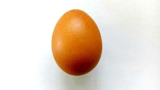 رازی که تخم‌مرغ معروف اینستاگرام فاش کرد!