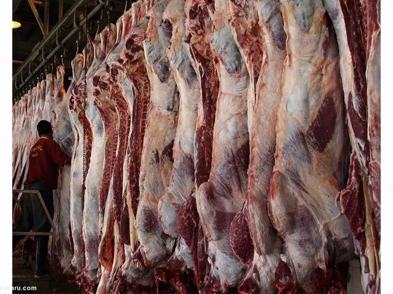 جزییات طرح فروش اینترنتی گوشت تنظیم بازاری +معرفی فروشگاه‌ها و راهنمای خرید