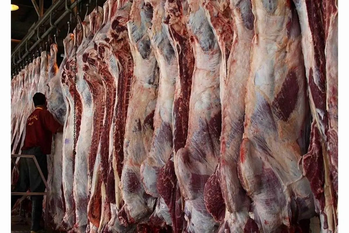 جزییات طرح فروش اینترنتی گوشت تنظیم بازاری +معرفی فروشگاهها و راهنمای خرید