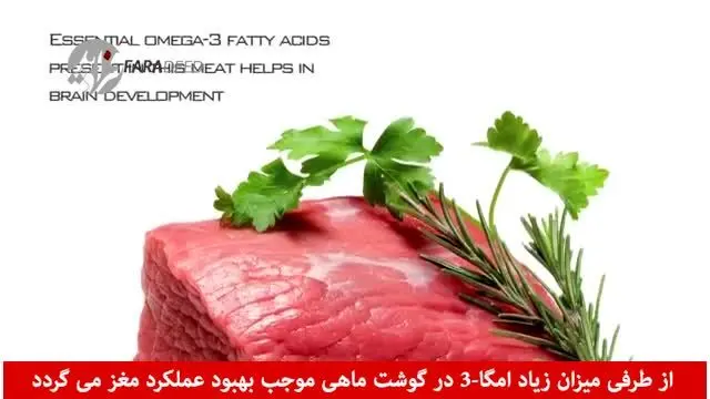 (ویدیو) گوشت سالم برای سلامت و رژیم غذایی چیست؟