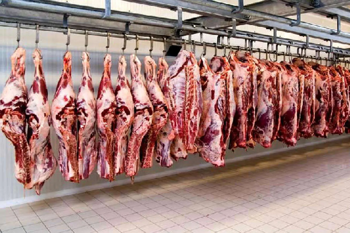 ثبت‌نام اینترنتی گوشت یخ‌زده نکردی تا عاشقی یادت بره!