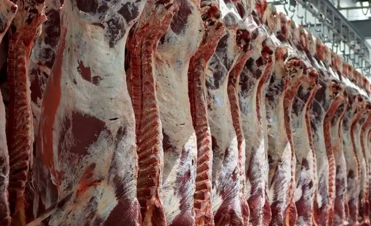 تورم گوشت از ۹۰ درصد گذشت