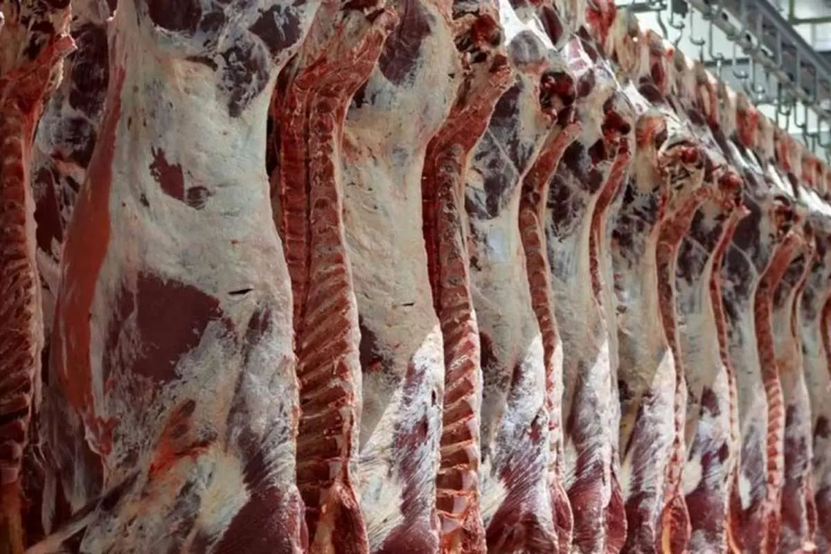 تورم گوشت از ۹۰ درصد گذشت