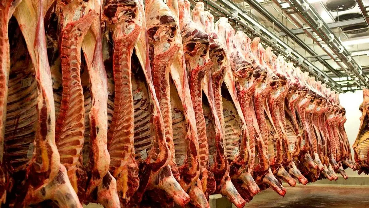 رئیس گمرک: ۷۰۰ کانتینر گوشت در گمرک داریم