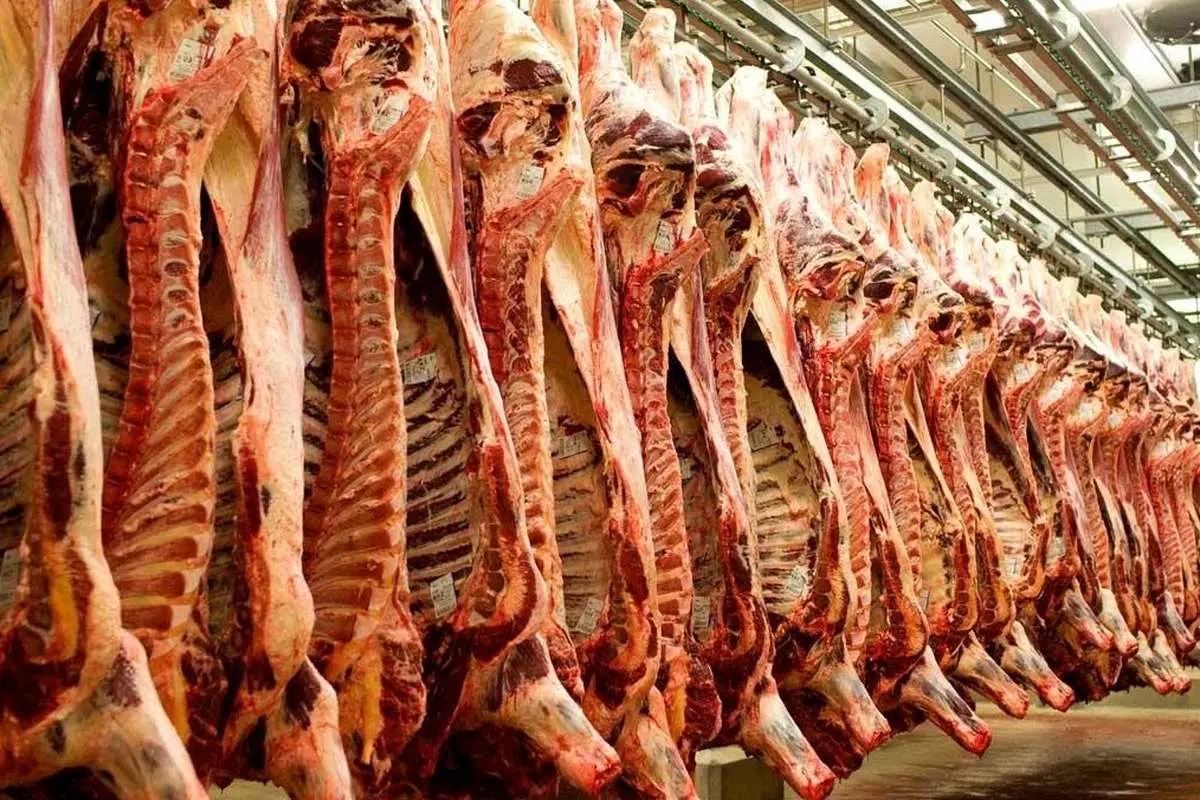 رئیس گمرک: ۷۰۰ کانتینر گوشت در گمرک داریم