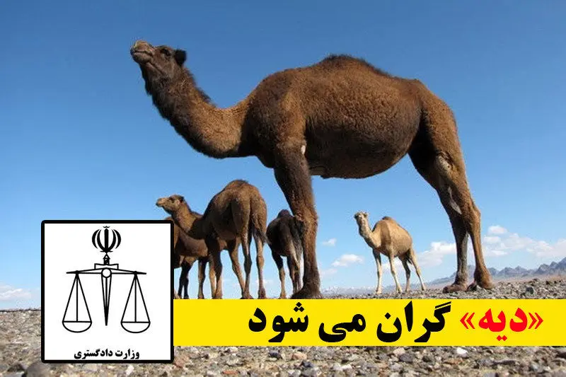 نرخ دیه در سال ۹۸، به یک میلیارد تومان می‌رسد؟!