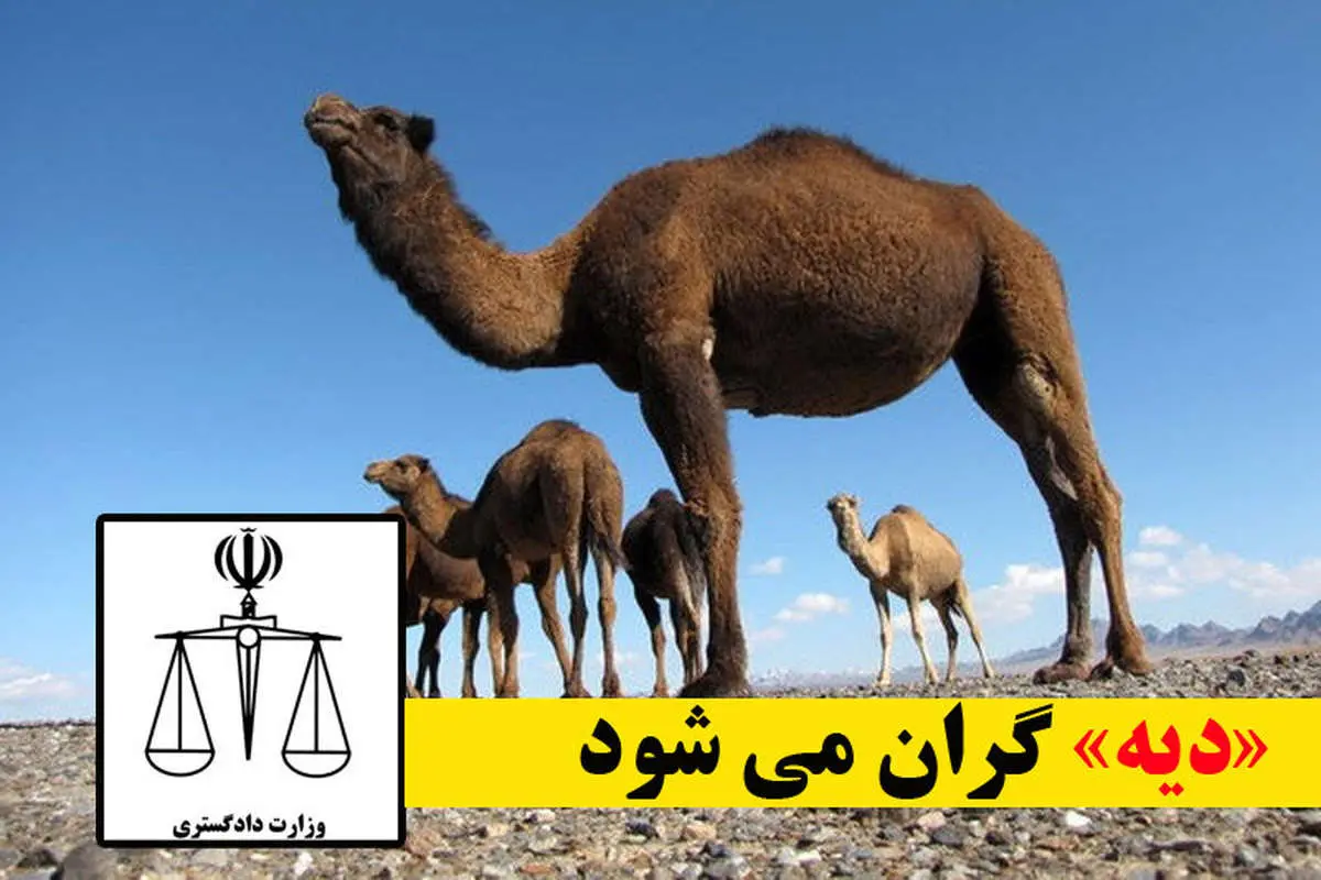نرخ دیه در سال ۹۸، به یک میلیارد تومان میرسد؟!
