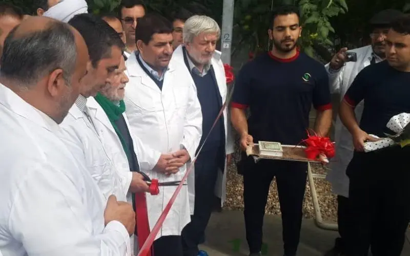 بهره برداری از فاز دوم بزرگترین گلخانه هیدروپونیک کشور در زرندیه