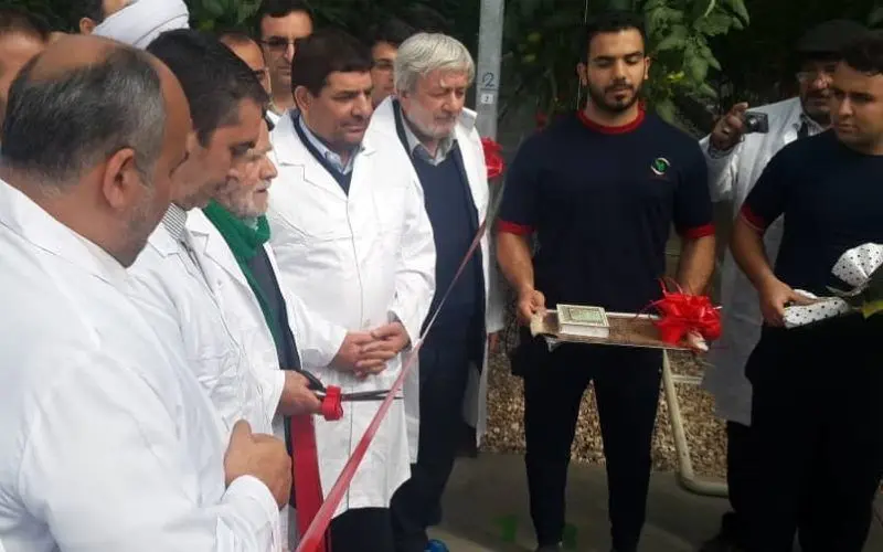 بهره برداری از فاز دوم بزرگترین گلخانه هیدروپونیک کشور در زرندیه