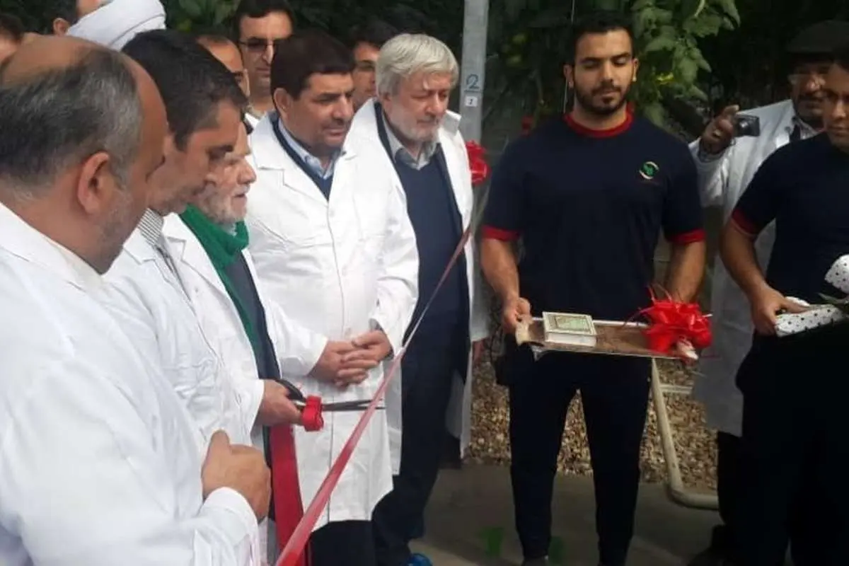 بهره برداری از فاز دوم بزرگترین گلخانه هیدروپونیک کشور در زرندیه