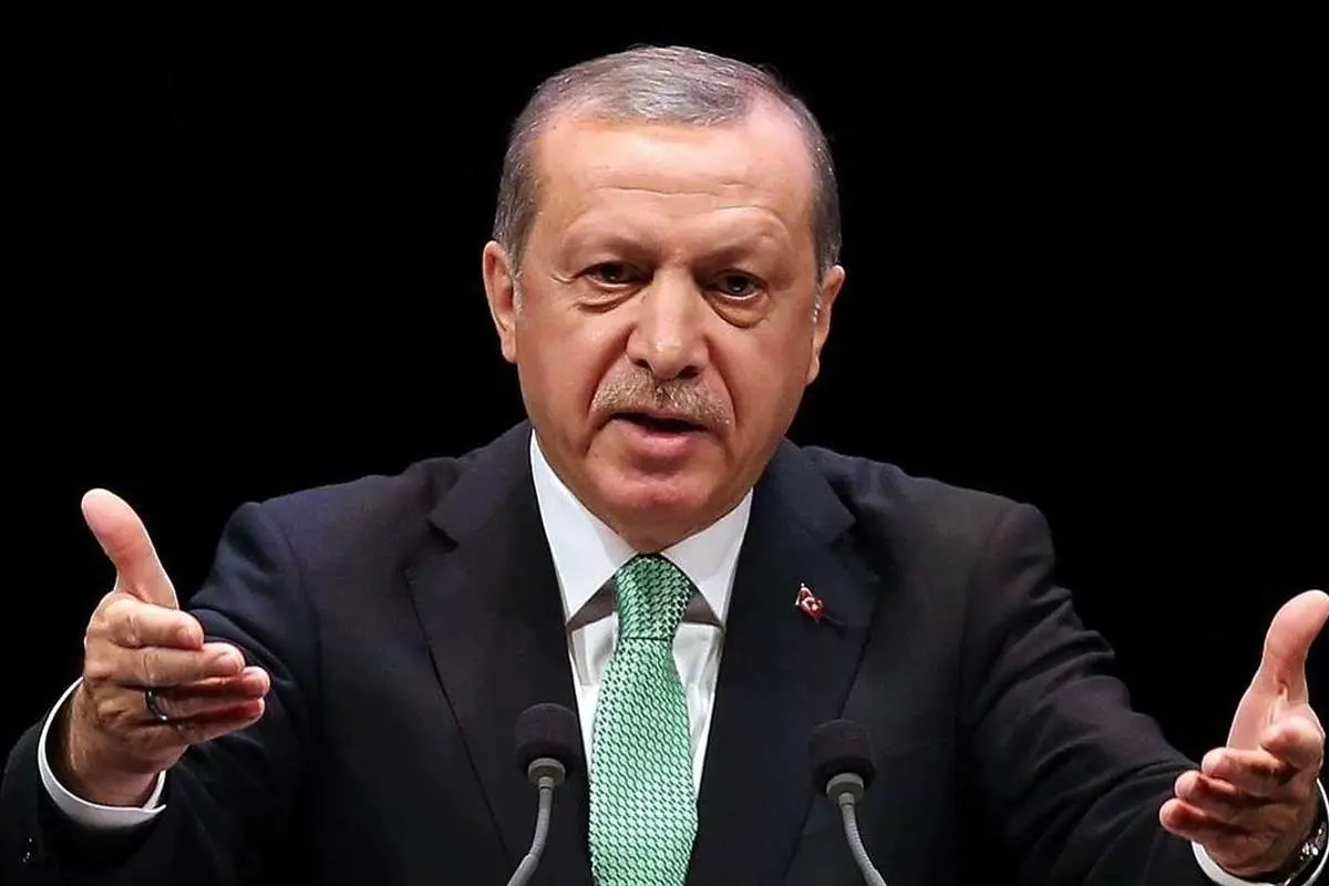 اردوغان: مگر ما منطقهای به نام کردستان داریم؟