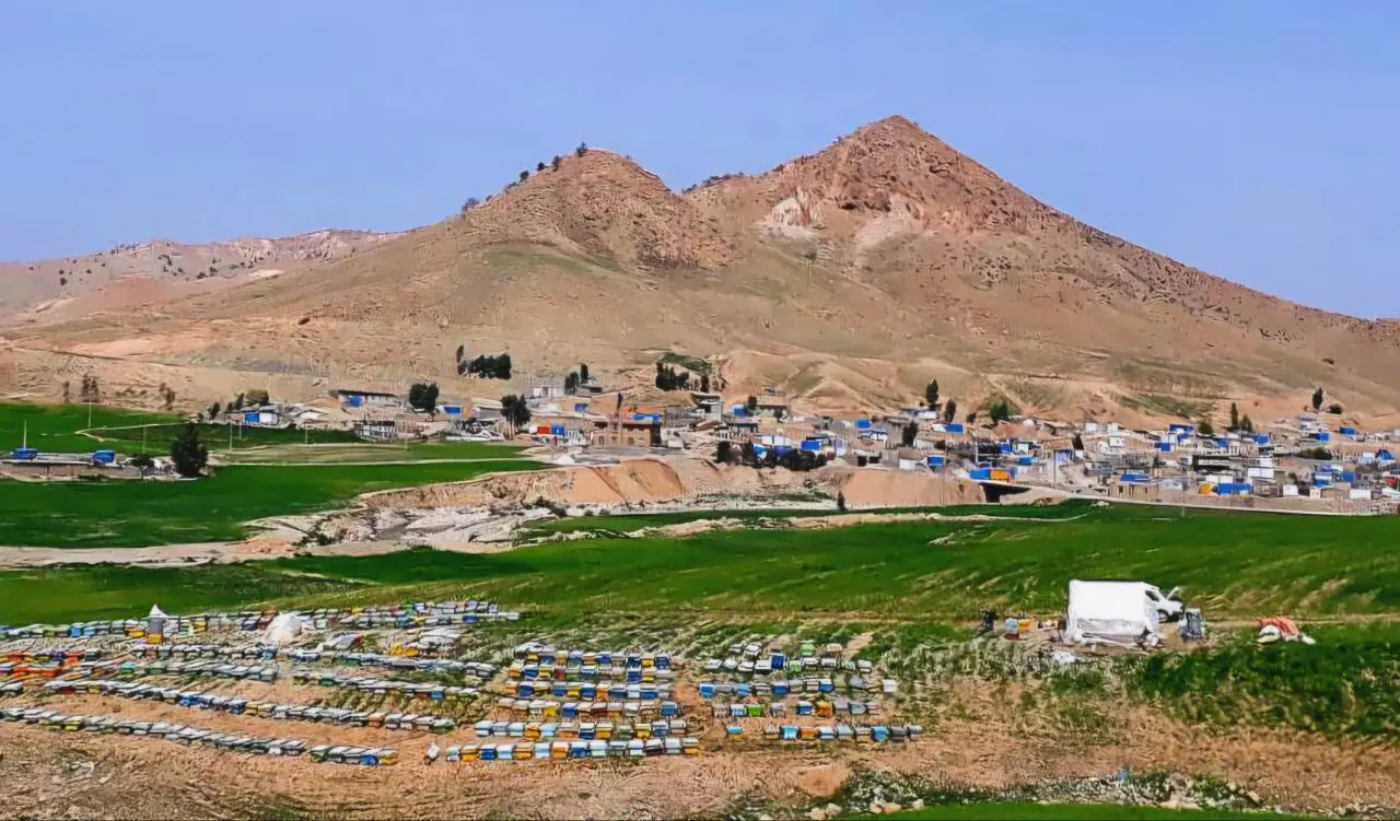 زندگی برای بسیاری فاصله بین آن دو زلزله بود